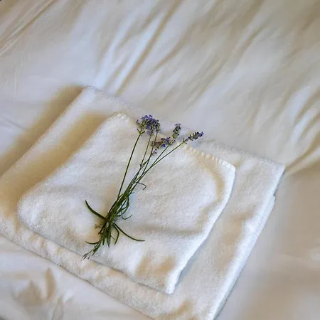 Aparthotel Sea Lounge 3*